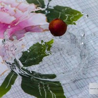 Mohan's Portfolio